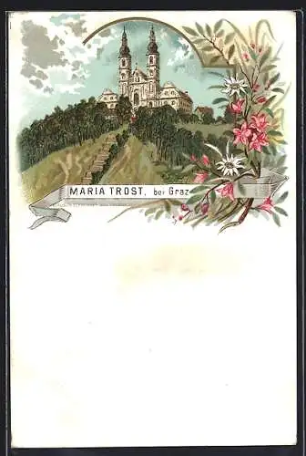 Lithographie Graz, Kirche Maria-Trost, Alpenblumen