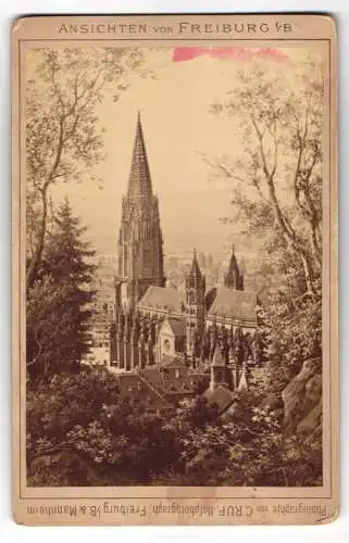 Fotografie C. Ruf, Freiburg i. B., Ansicht Freiburg i. Br., Blick aus dem Wald nach dem Münster