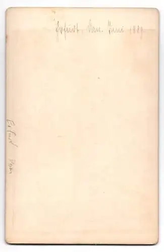 Fotografie unbekannter Fotograf, Ansicht Erfurt, Innenansicht des Dom mit Blick zum Altar, 1889