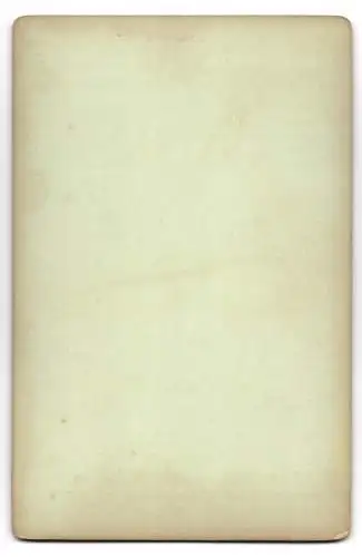 Fotografie Sophus Williams, Berlin, Ansicht Berlin, Denkmal der Königin Luise im Thiergarten