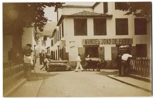 Fotografie unbekannter Fotograf, Ansicht Funchal, Ochse zieht Holz auf Schlitten durch den Ort