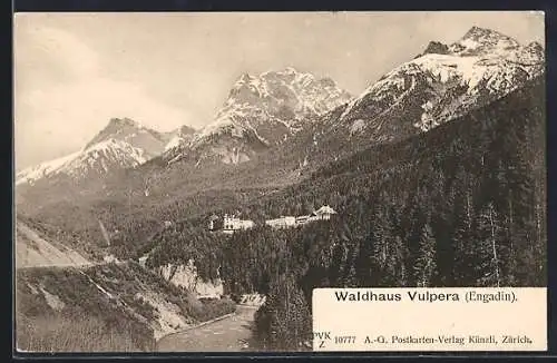 AK Vulpera /Engadin, Waldhaus mit Umgebung und Gipfelpanorama
