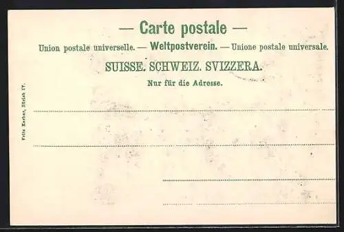 AK Genève, Musée Ariana