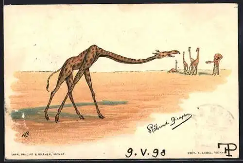 Künstler-Lithographie Philipp + Kramer: Giraffe röhrt in der Wüste