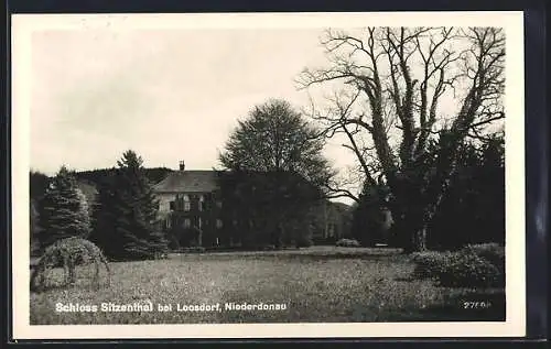 AK Loosdorf /Niederdonau, Das Schloss Sitzenthal