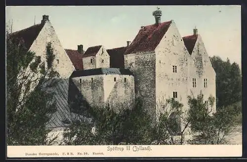 AK Spóttrup /Jylland, Burg mit Storchennest