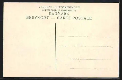 AK Spóttrup /Jylland, Burg mit Storchennest