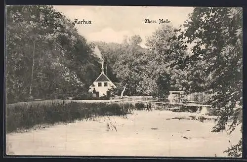 AK Aarhus, Thors Molle