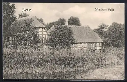 AK Aarhus, Moesgaard Molle