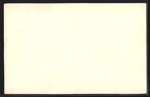 AK Helsingor, Marienlyst