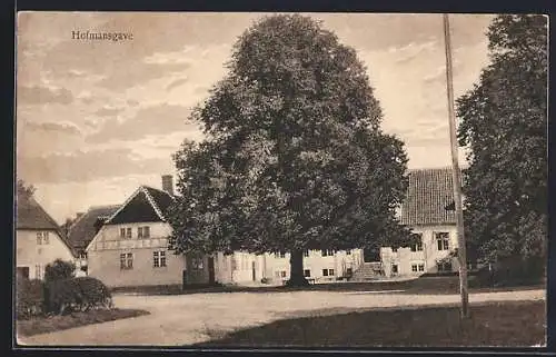 AK Hofmansgave, Strassenpartie mit Baum