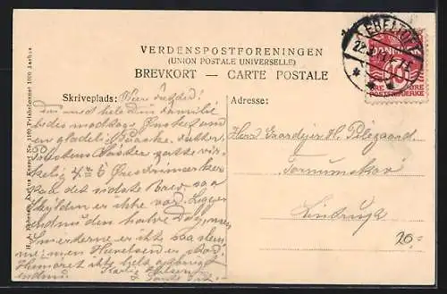 AK Ellemandsbjerget /Helgenaes, Schafe auf der Weide