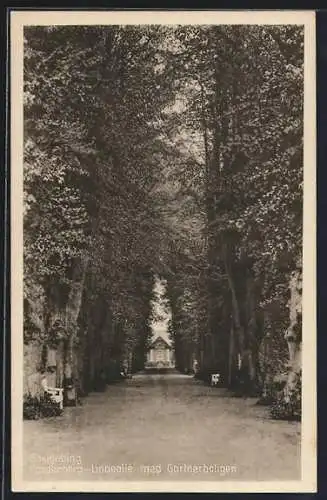 AK Saxkjobing, Hardenberg, Lindeallé med Gartnerboligen