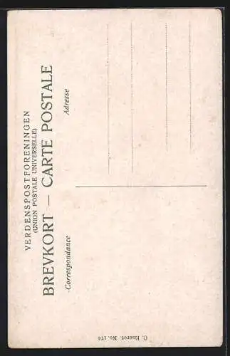 AK Egeskov /Fyen, Blick auf das Schloss