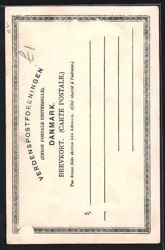 AK Kolding, Kaempen paa Koldinghus