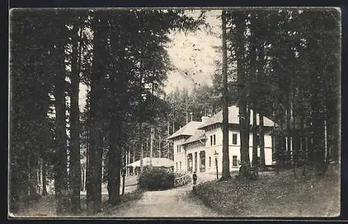 AK Tusnád Fürdö, Hotel mit Waldstrasse