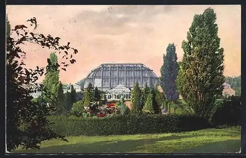 AK Berlin-Dahlem, Botanischer Garten mit Schauhäusern