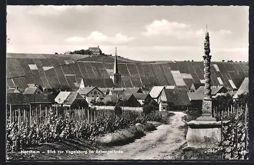 AK Nordheim / Main, Blick zur Vogelsburg im Rebengelände