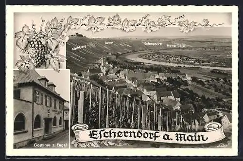 AK Escherndorf a. M., Gasthaus z. Engel, Totalansicht, Kirchberg, Lump