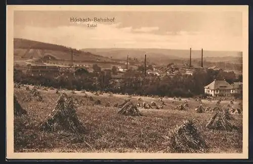 AK Hösbach-Bahnhof, Totale vom Feld aus gesehen