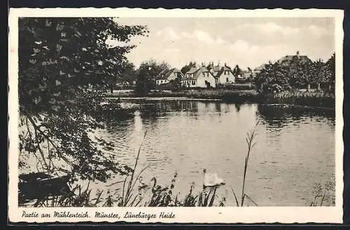 AK Munster, Partie am Mühlenteich