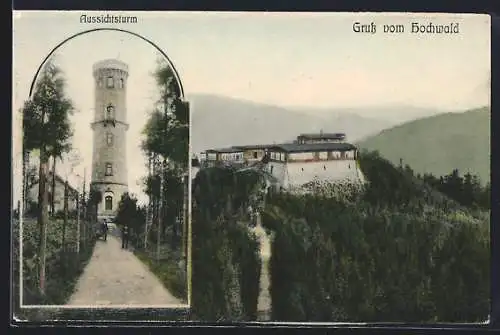 AK Hochwald / Oybin, Panorama, Aussichtsturm