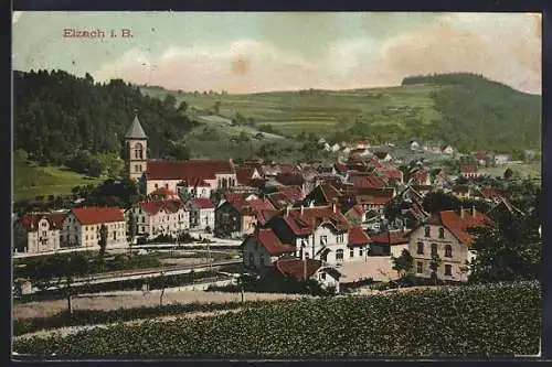 AK Elzach, Panorama mit Park