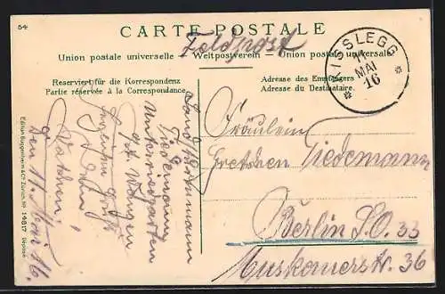 AK Sentum, Ochsen bei der Alpfahrt, Viehzucht, Bauer