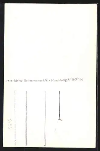 AK Auerbach /Vogtl., Partien an der Heilstätte Carolagrün