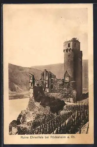 AK Rüdesheim a. Rh., Ruine Ehrenfels mit Blick zum Rhein