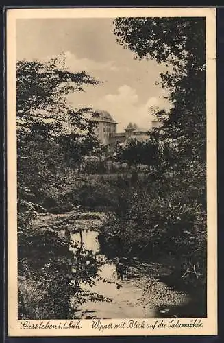 AK Giersleben i. Anh., Wipper mit Blick auf die Salzmühle