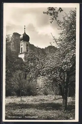 AK Oberammergau, Frühlingsidyll mit Kirche