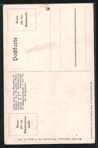 AK Persenbeug, Uferpartie m. Schloss & Ruderer, Deutscher Schulverein