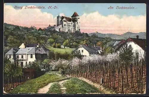 AK Liechtenstein /N.-Oe., Schloss Liechtenstein