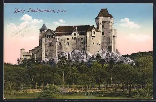 AK Maria Enzersdorf, Burg Liechtenstein