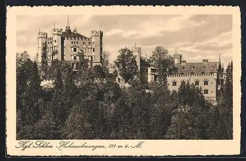 Künstler-AK Hohenschwangau, Königliches Schloss