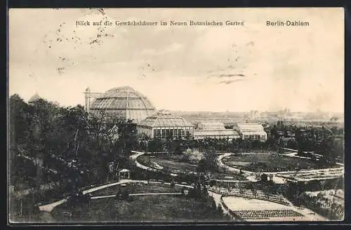 AK Berlin-Dahlem, Blick auf die Gewächshäuser im Neuen Botanischen Garten