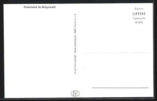 AK Geiselwind im Steigerwald, Teilansicht mit Strassenpartie