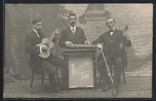 AK Musikgruppe Frohsinn-Trio mit Zither, Gitarre und Geige