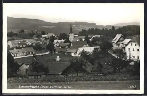 AK Gross Pertholz /N. Oe., Ortsansicht vom Berghang aus