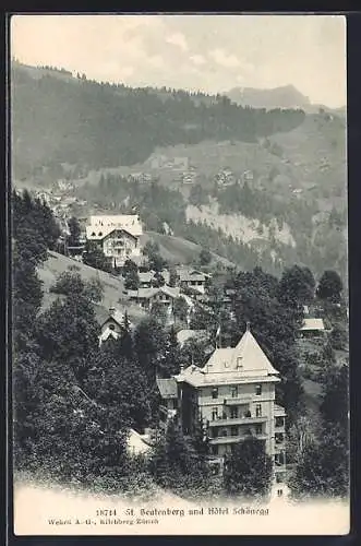 AK Beatenberg, Totalansicht mit Hotel Schönegg