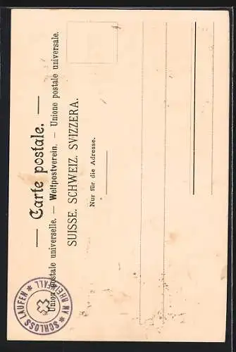 AK Der Rheinfall v. Fischetz