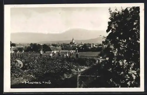 AK Hadres /N. Ö., Ortsansicht von einem Feldweg aus, mit Bergpanorama