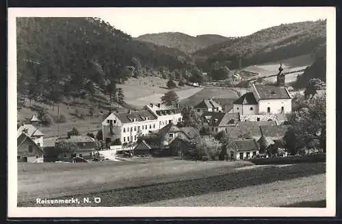 AK Raisenmarkt /N. Ö., Totalansicht mit Feldern und Bergpanorama