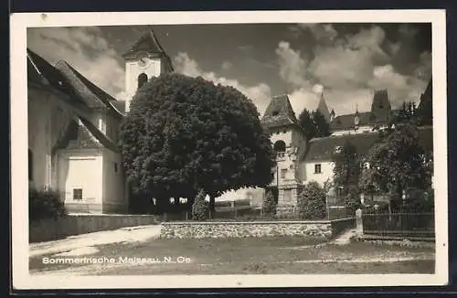AK Maissau /N.-Oe., Ortspartie mit Kirche