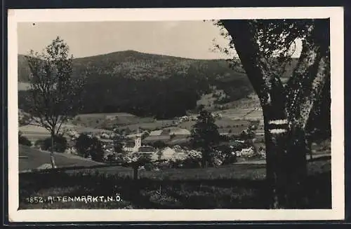 AK Altenmarkt /N.-Ö., Ortsansicht aus der Vogelschau