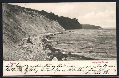 AK Aarhus, Moesgaard Strand