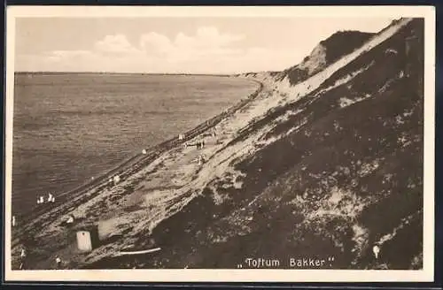 AK Toftum Bakker, Panorama