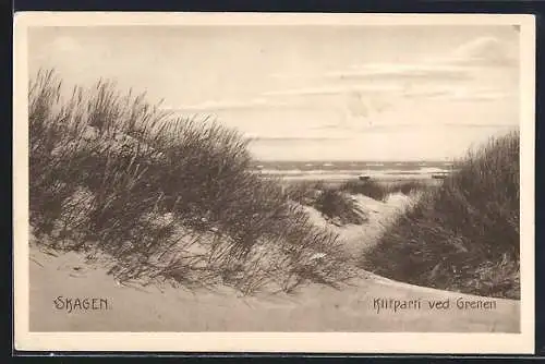 AK Skagen, Klitparti ved Grenen