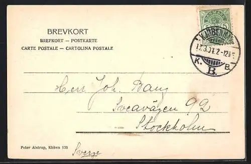 AK Kobenhavn, Raadhuset set fra Tivoli